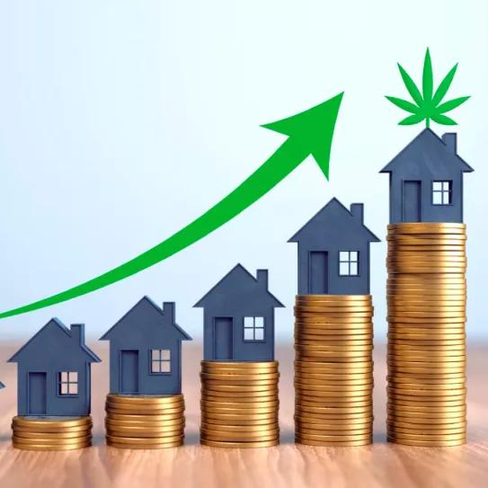 La legalización de la marihuana y el aumento de precios de la vivienda van de la mano en EE UU