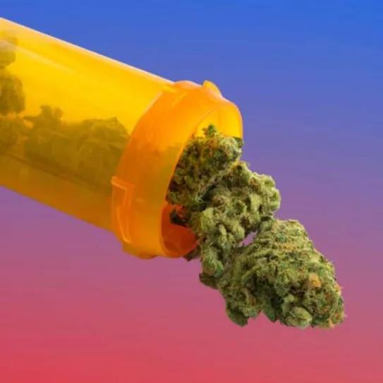 Los estados de EE UU con acceso regulado al CBD recetan menos opioides