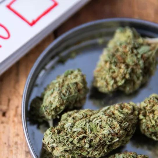 Siete de cada diez estadounidenses apoya la legalización de la marihuana