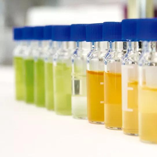 Cannabis al microscopio El trabajo de la Fundación Canna