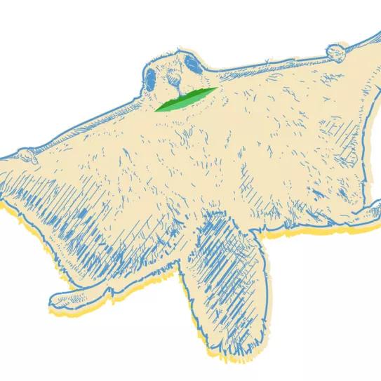 Ohio se dispone a legalizar 