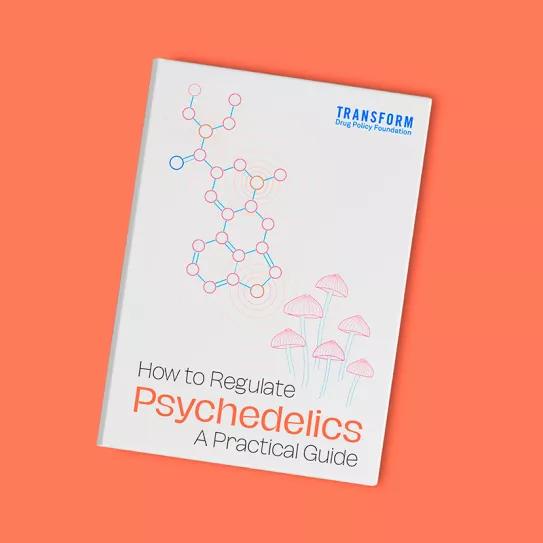 ¿Cómo regulamos los psicodélicos?  