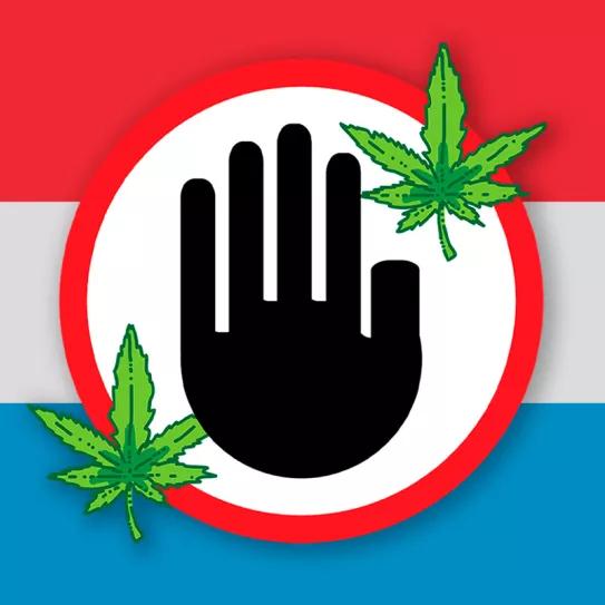 Luxemburgo deja de lado la legalización completa del cannabis con el nuevo gobierno