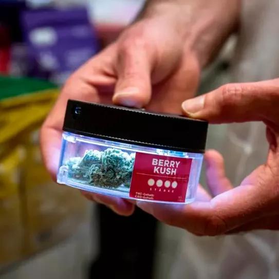 Los usuarios de cannabis suizos ya pueden inscribirse para fumar en el programa de Berna y Biel 