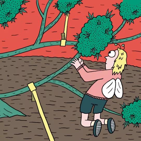 Ocho trucos y técnicas para manejar el tamaño y la forma de las plantas 