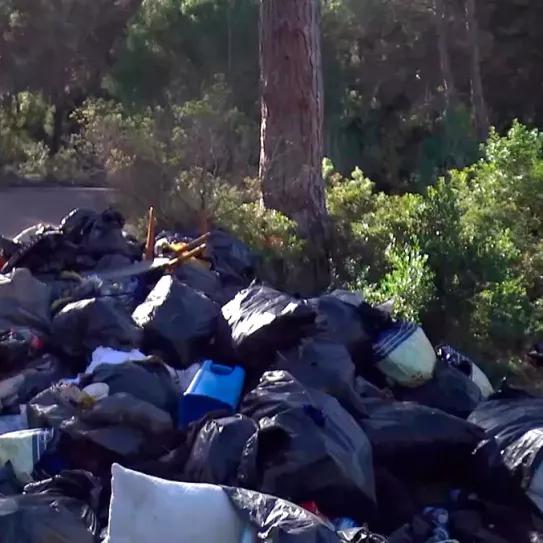 Las plantaciones de cannabis ilegal provocan vertederos ilegales en Barcelona 