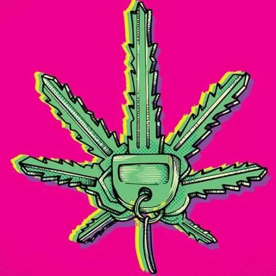 Registro en el coche