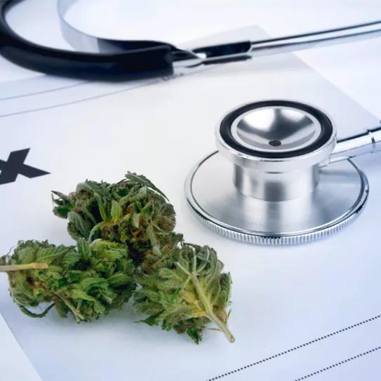 El Parlamento de Ucrania aprueba la legalización del cannabis medicinal