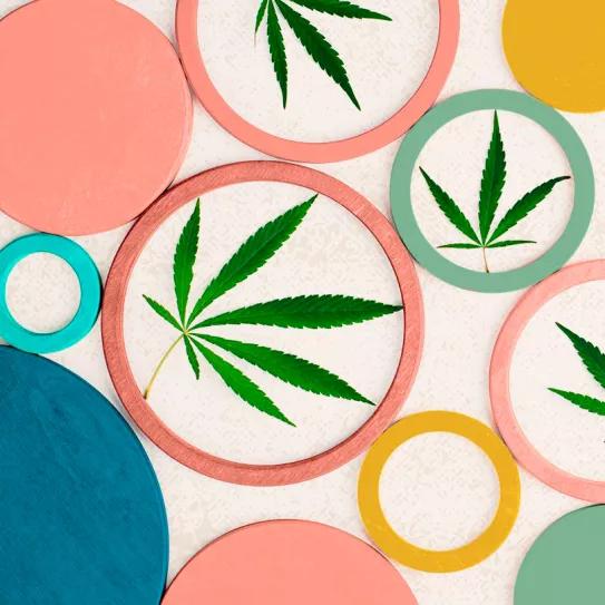 Todos los detalles de la ley para legalizar el cannabis en España presentada por Podemos