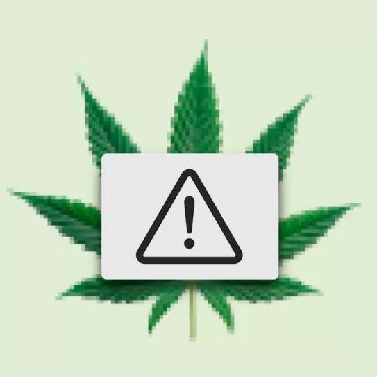 Las tareas del nuevo Gobierno. Editorial Cáñamo 313