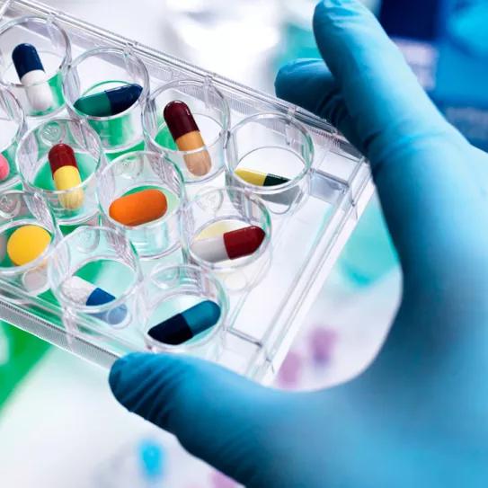 La DEA habilita aumentar la producción de THC, psilocibina y DMT para las investigaciones científicas