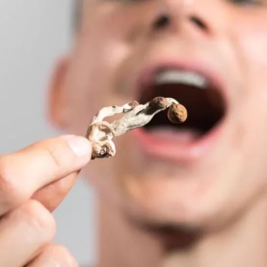 Un tribunal de EE UU rechaza la petición para que la psilocibina se reclasifique para uso médico