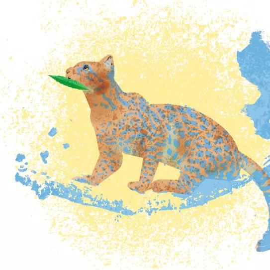 El negocio de maría, un consejo para Claudia 