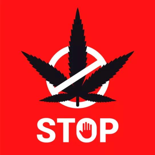 España: la Fiscalía Especial Antidroga quiere lanzar una campaña contra el cannabis