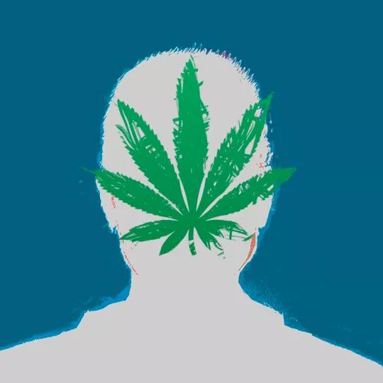 Canadá comprueba que la psicosis no es una excusa para avanzar en la regulación integral del cannabis