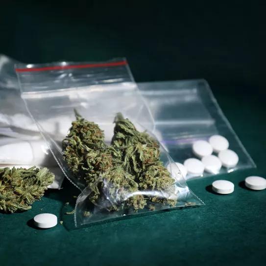 Euskadi: baja el consumo de cannabis, pero sube el uso de fármacos tranquilizantes