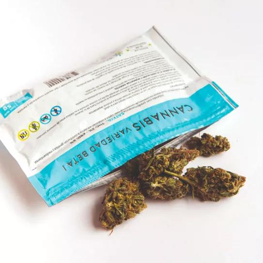 Uruguay duplicó las ventas de cannabis en las farmacias en el último año