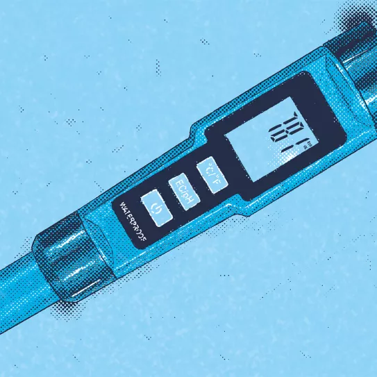 Niveles adecuados de EC