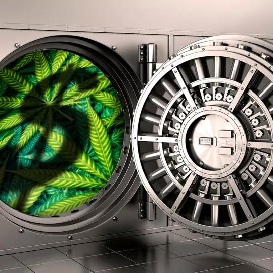 Abre el primer banco cannábico en EE UU en la isla de Guam