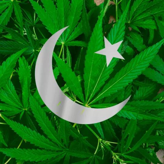 Pakistán promulga la ley que permitirá el uso medicinal del cannabis