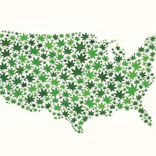 Ya hay más dispensarios de cannabis que tiendas de McDonald’s en EE.UU.