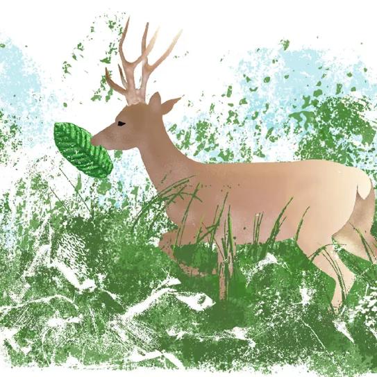 Kratom, ¿la salvación contra la adicción de opioides?