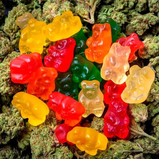 La principal distribuidora de comestibles cannábicos de EEUU desembarcará en Europa