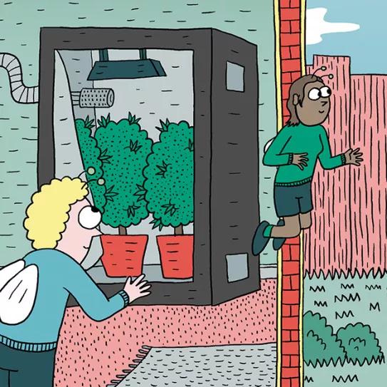 Diez trucos para planificar la temporada de cultivo 