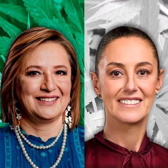 Elecciones en México: ¿qué piensan los candidatos sobre el cannabis?