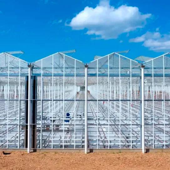 Se vuelve a atrasar el inicio del cultivo de cannabis en la empresa Ondara