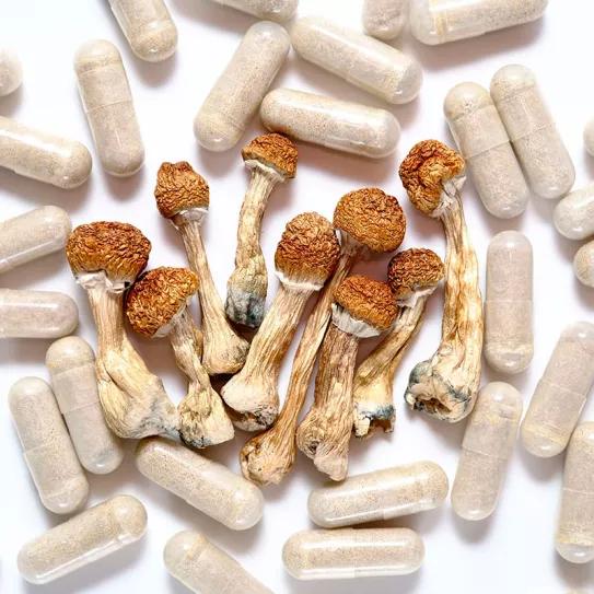 Missouri invertirá 10 millones de dólares para investigar el uso de la psilocibina 