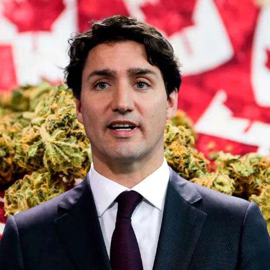 El Primer Ministro de Canadá defendió la legalización del cannabis