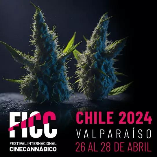 El Festival Internacional de Cine Cannábico vuelve a Chile