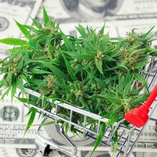 Varios estados de EEUU generaron record de ventas durante el 4/20