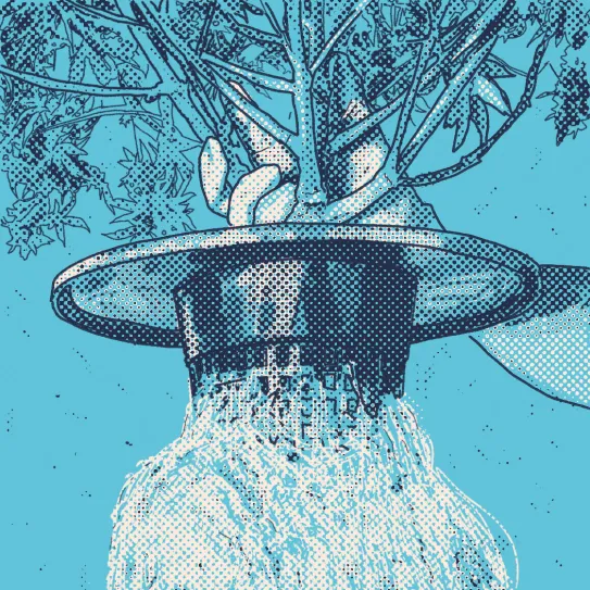 Nutrientes en un cultivo hidropónico horizontal 