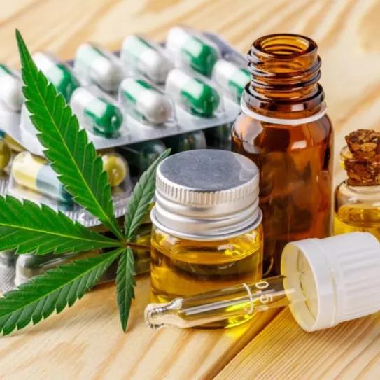 Usuarios terapéuticos de cannabis de México esperan hace cinco años que el Estado les proporcione los medicamentos