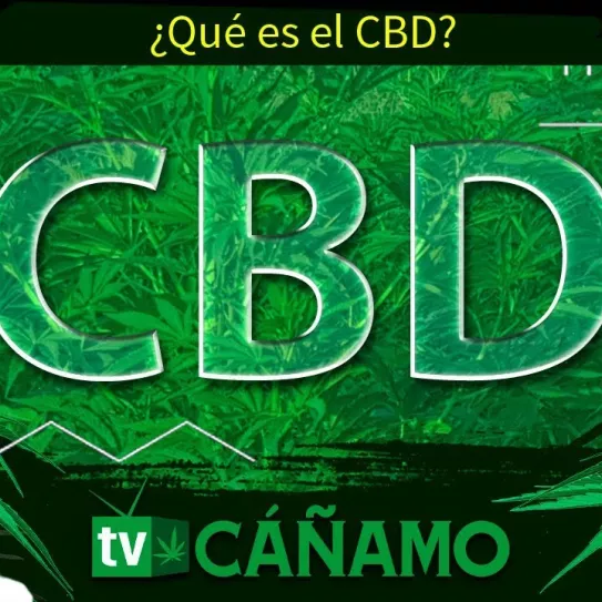 qué es el CBD