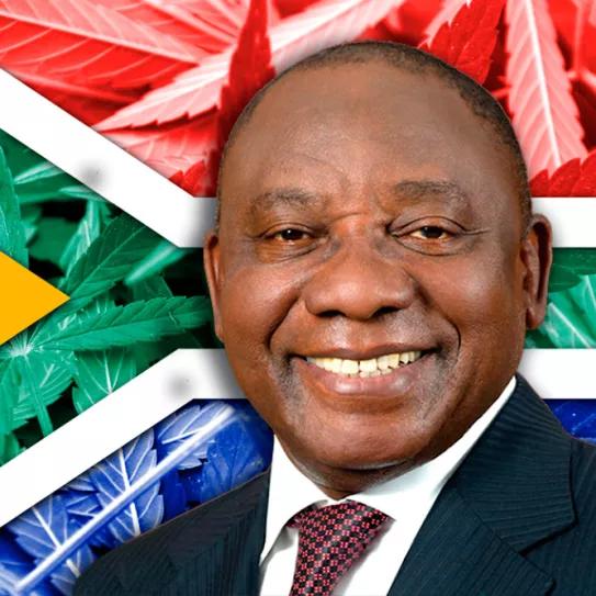 Sudáfrica promulga la ley que regula el uso adulto de cannabis