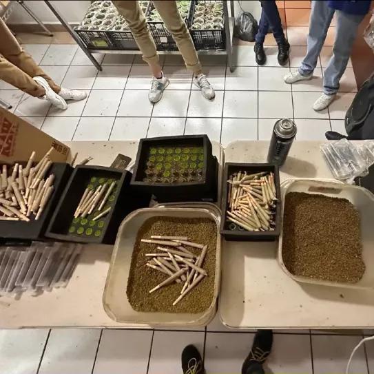 El Cártel de Sinaloa abre dispensarios de cannabis en México Foto Luis Chaparro