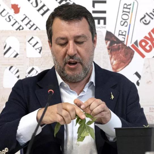 Matteo Salvini destruye una planta de cannabis ante las cámaras