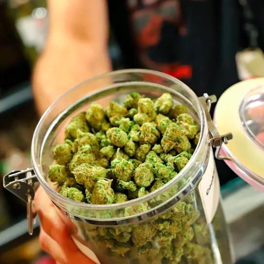 El consumo de cannabis en los jóvenes de Colorado disminuyó desde el inicio de la regulación
