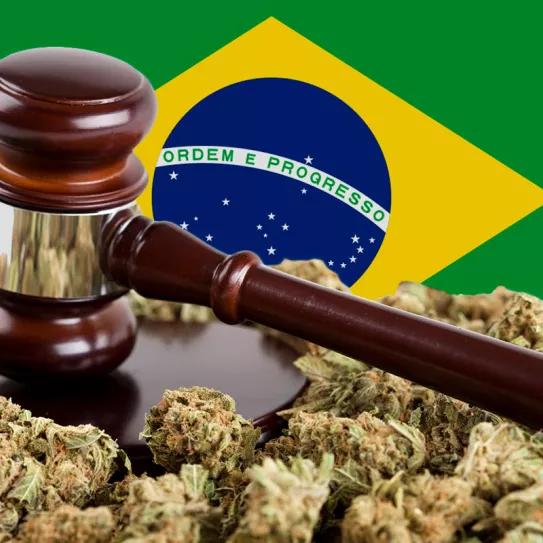 Brasil despenalizó la tenencia de cannabis para uso personal