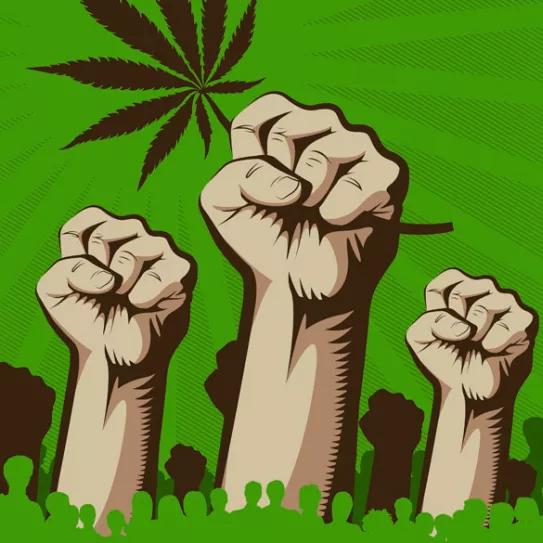 Ante la injusticia, desobediencia. Editorial Cáñamo 319