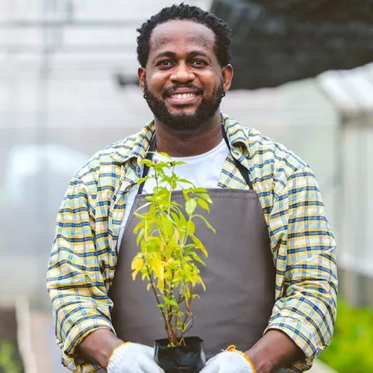 Programa de Desarrollo de la Fuerza Laboral del Cannabis