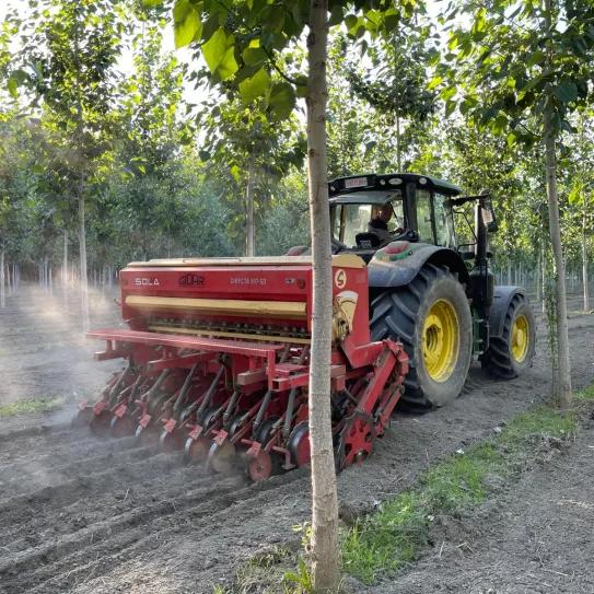 Lanzaron un cultivo de cáñamo en Granada