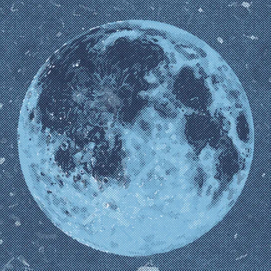 La luna y sus efectos sobre las plantas 