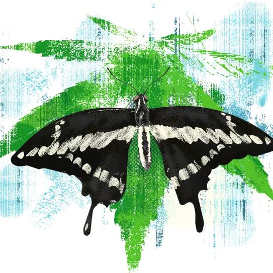 Observatorio Norteamericano - Los Ángeles: ciudad cosmopolita a la vanguardia