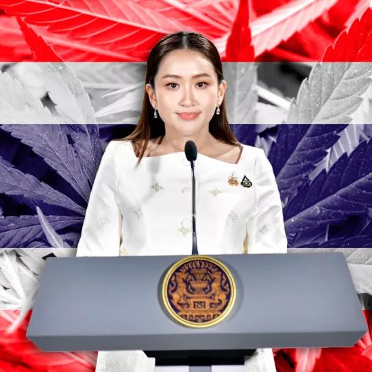 Tailandia presenta un nuevo proyecto de ley que protege el uso recreativo del cannabis