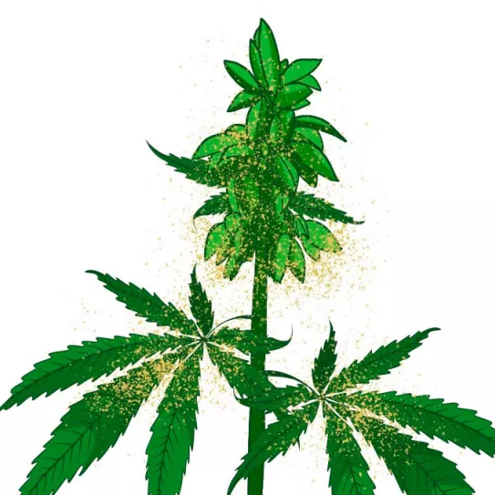 La conservación del polen