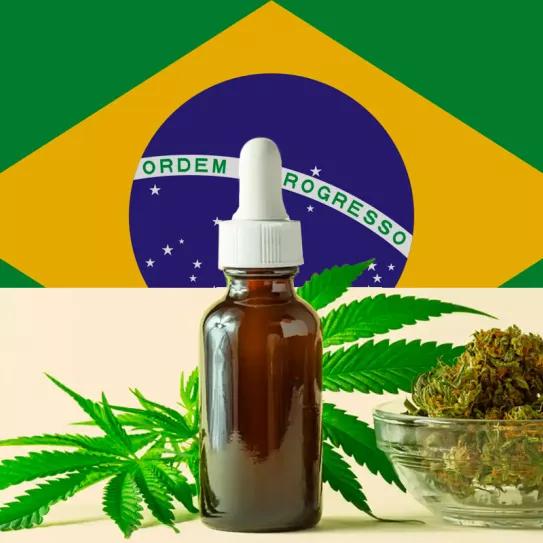 Un estado de Brasil legaliza el cannabis medicinal